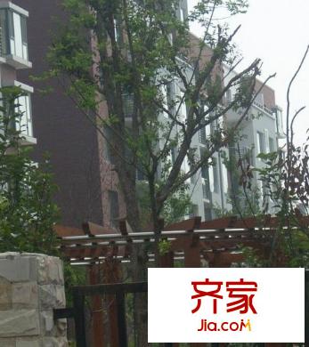 華隆尚都東郡外景圖商都東郡2