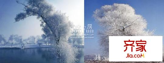 翠江錦苑天下四奇得其一