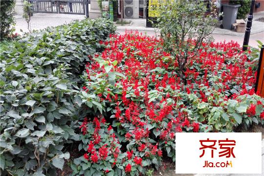 大唐天下江山1期園區(qū)（2015-08-27）