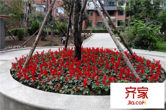 大唐天下江山1期園區(qū)（2015-08-27）