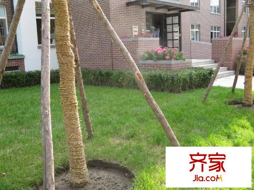 中環(huán)濱江花園小區(qū)門前綠化