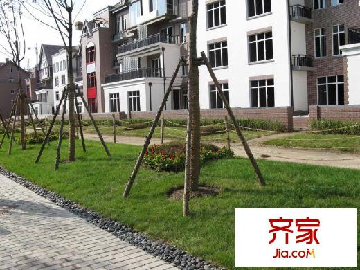 中環(huán)濱江花園園區(qū)綠化