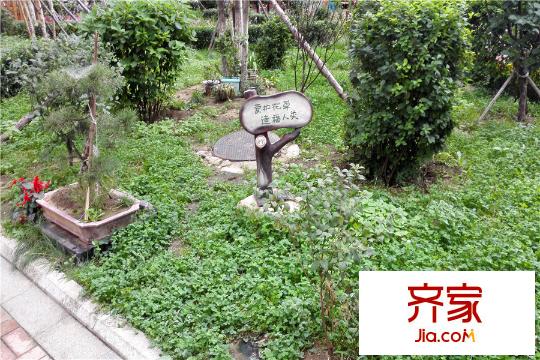 大唐天下江山1期園區(qū)（2015-08-27）