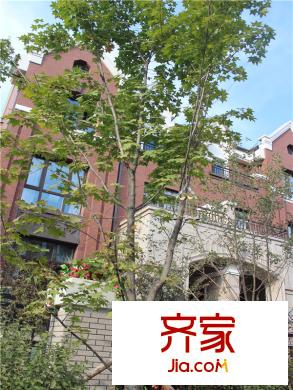 中海?溫莎?園