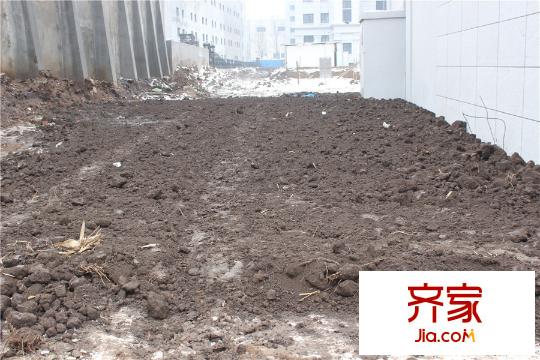 金地紅大藍灣工地（2015-12-11）