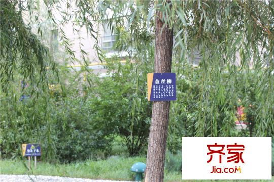 中冶江山如畫(huà)2015-10-20