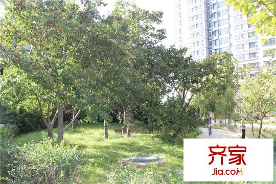 中冶江山如畫(huà)2015-10-20
