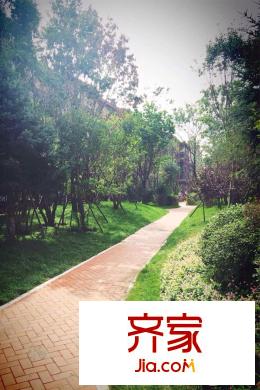 龍城帝景園區(qū)小路實景圖（2015-8）