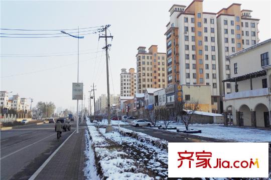 蘇寧綠谷莊園周邊配套松江南路