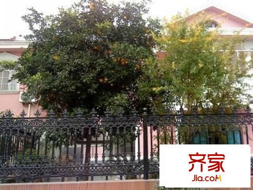 双隆明珠隆舜园外景图
