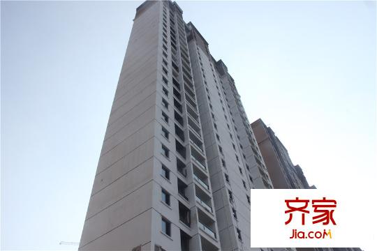 美新玫瑰大道高层进度实景(2015.9)
