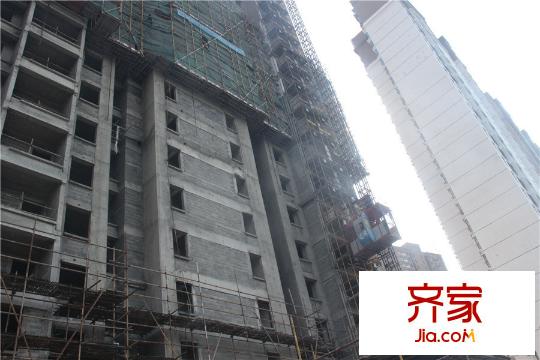 美新玫瑰大道工程近景(2015.9)