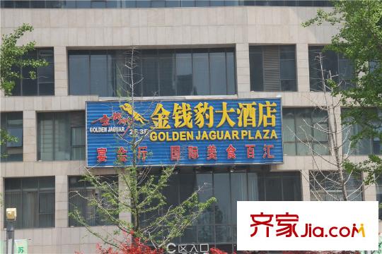 美新玫瑰大道周边金钱豹