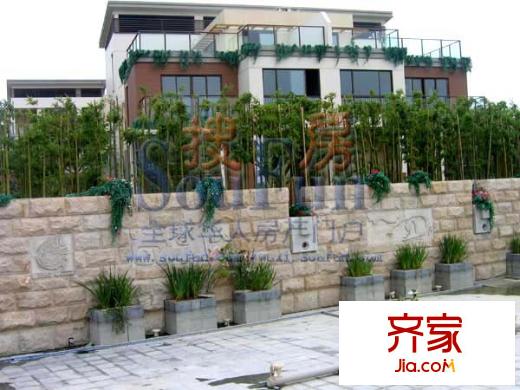 龙栖湾实景图