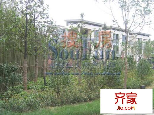 龙栖湾实景图
