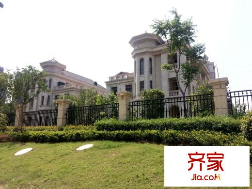 深蓝广场项目外围绿化(2015-8-7)