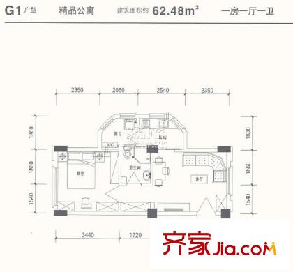 力高国际城G1户型精品公寓 1室1厅1卫1厨