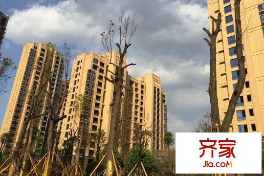 朝阳天成高层外立面实景(2015-4)