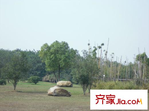 济民可信艾溪康桥周边1000米左右艾溪湖湿地公园