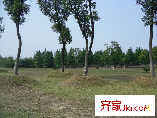 济民可信艾溪康桥周边1000米左右艾溪湖湿地公园