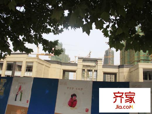 保利金香槟 实景(2014-8-11)