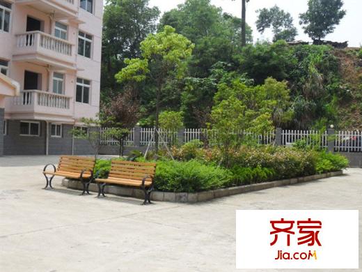 绿苑休闲住宅小区实景图小区绿化(2011-8-4)