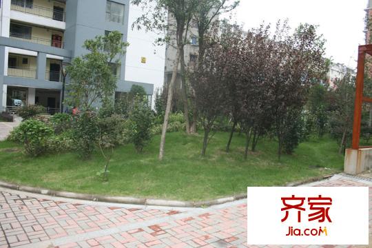 江铃晶城外景图