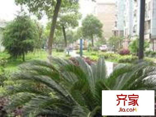 江铃晶城外景图