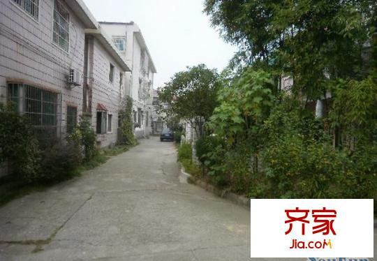 顺外路现代庄园外景图