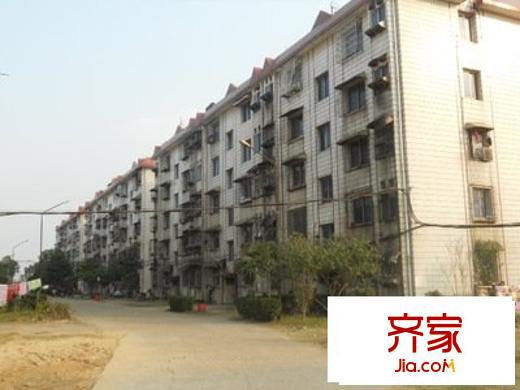 顺外路现代庄园外景图