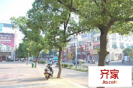 中欧金球公寓外景图小区相关图_7