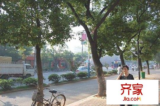 中欧金球公寓外景图小区相关图_8