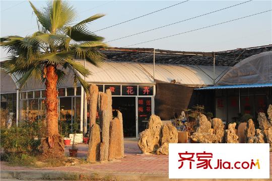 江铃澜庭周边火炬六路花卉市场(2015-10)