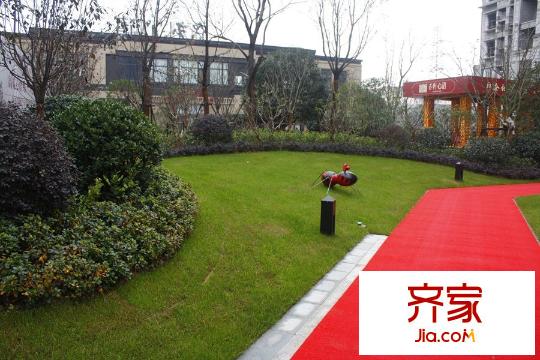 保利心语花园小区内部绿化展示带(2015-12)