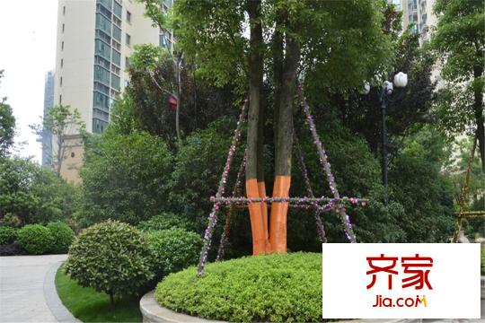 南昌恒大名都实景图小区绿化实景(2015-3)