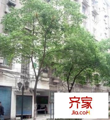 南昌市公交总公司宿舍外景图南昌公交总公司宿舍