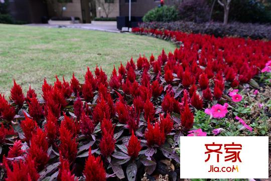 联发君悦华庭售楼中心外部实景(2015.12)