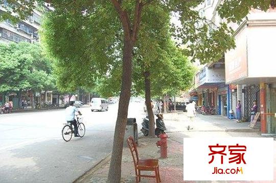 朝阳岭秀外景图小区相关图_3