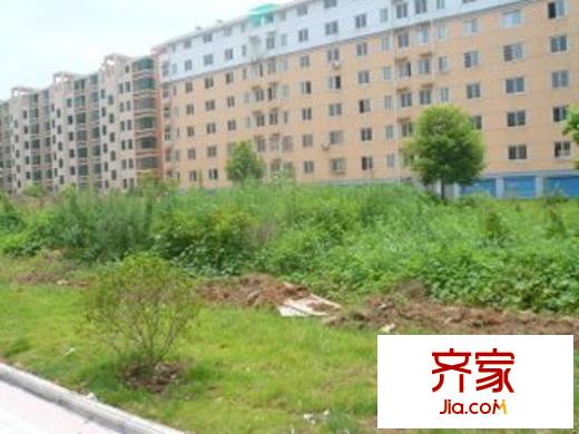 澄湖经典外景图2