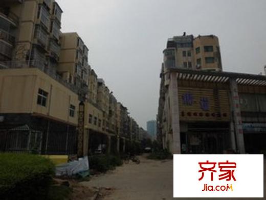 澄湖经典外景图5