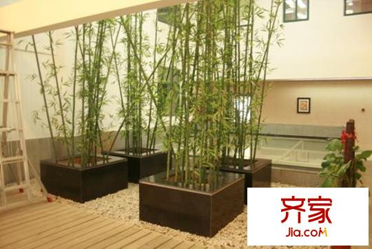 领秀公馆实景图售楼中心实景(2009-12-22)