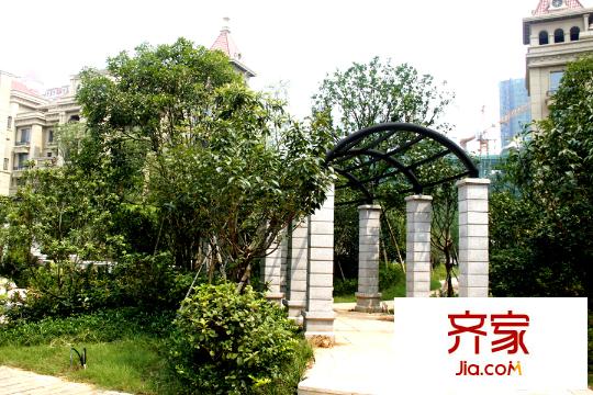 君悦府绿化区长廊(2015-07)