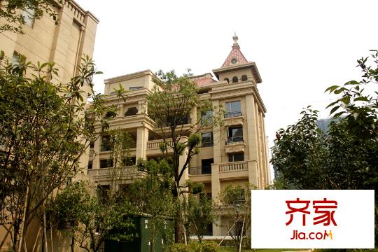 君悦府小区园林(2015-07)