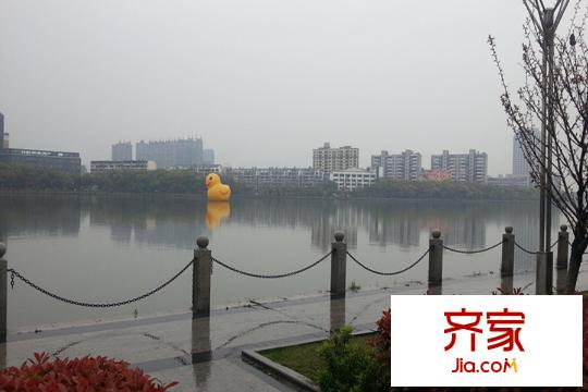 青山湖天湾实景图项目500米湖滨公园1(2015.3)