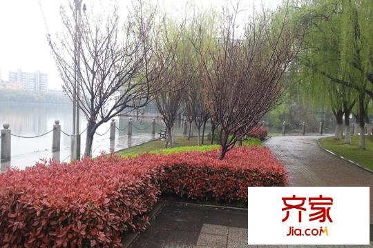 青山湖天湾实景图项目500米湖滨公园(2015.3)