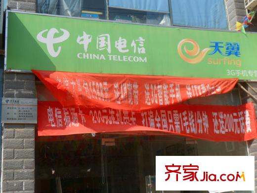 水榭山項(xiàng)目周邊500米內(nèi)中國(guó)電信