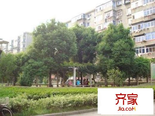 文教路二建宿舍外景图