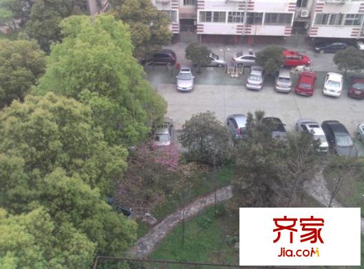 贤士二路法院宿舍外景图