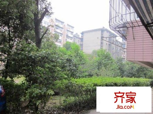 船山路船山广场外景图