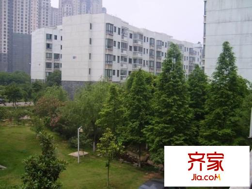衛(wèi)東花園外景圖 